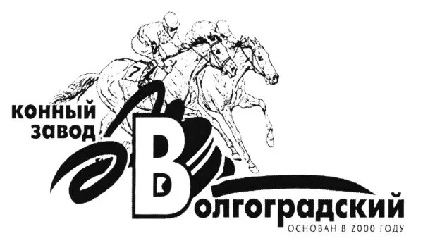 logo 11