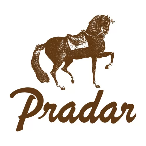 logo 8